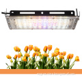 150w Plant Factory Farming led grow light